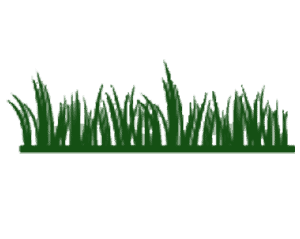 Artificial Grass Empire
